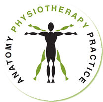 Anatomy Physiotherapy Practice